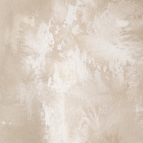 Warm plaster, white bloom.